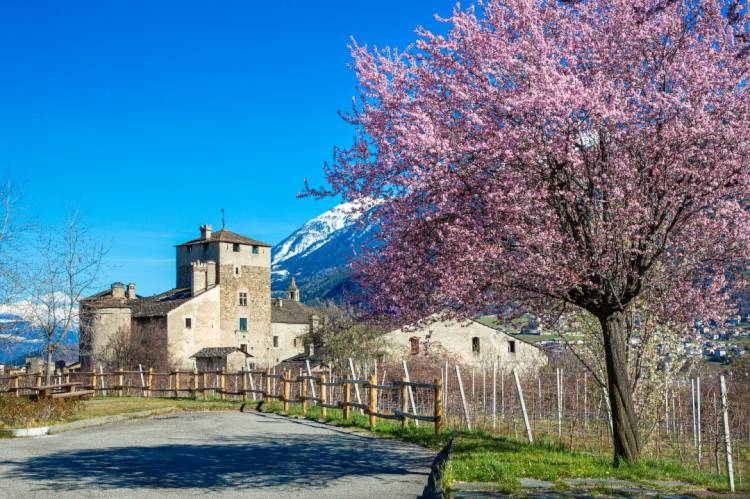 Stai cercando informazioni per una vacanza in Valle d'Aosta? Consulta il portale turistico regionale.